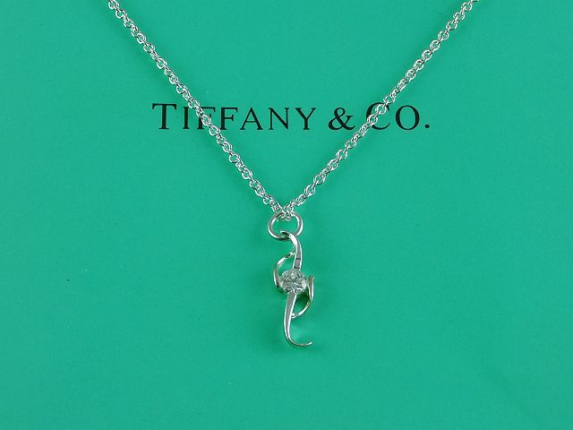tiffany Necklace-417